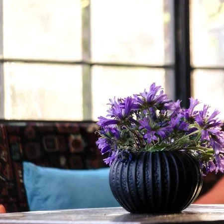 Q Beds,rooms And Hostel