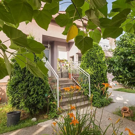 Q Beds,rooms And Hostel