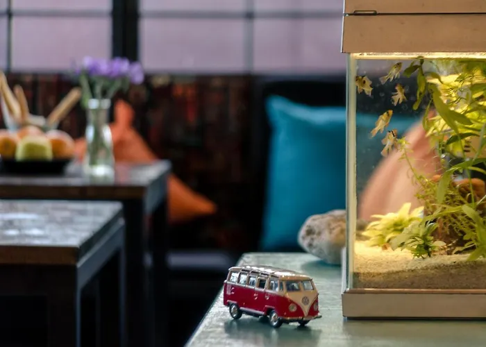 Q Beds,rooms And אכסניה