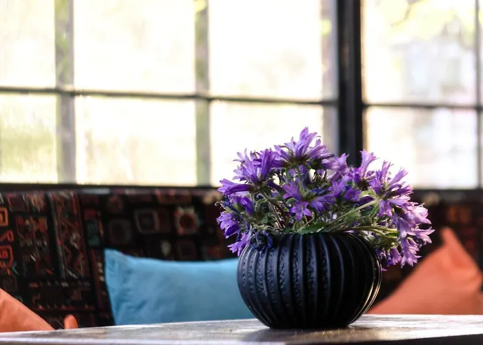 Q Beds,rooms And אכסניה